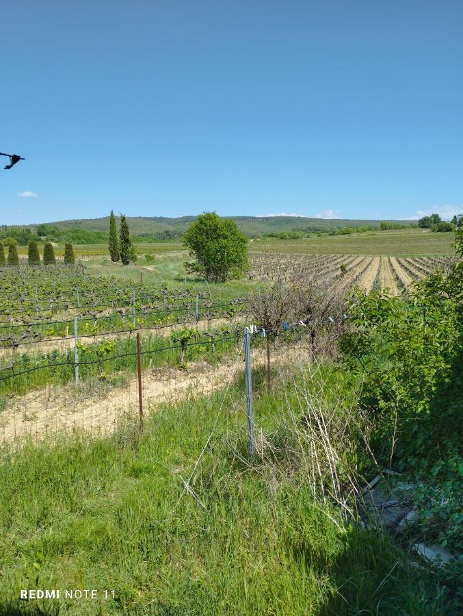 Chambre D Hotes En Provence, Au Pied Du Luberon, Les Coquelicots La Tour-d'Aigues Екстер'єр фото